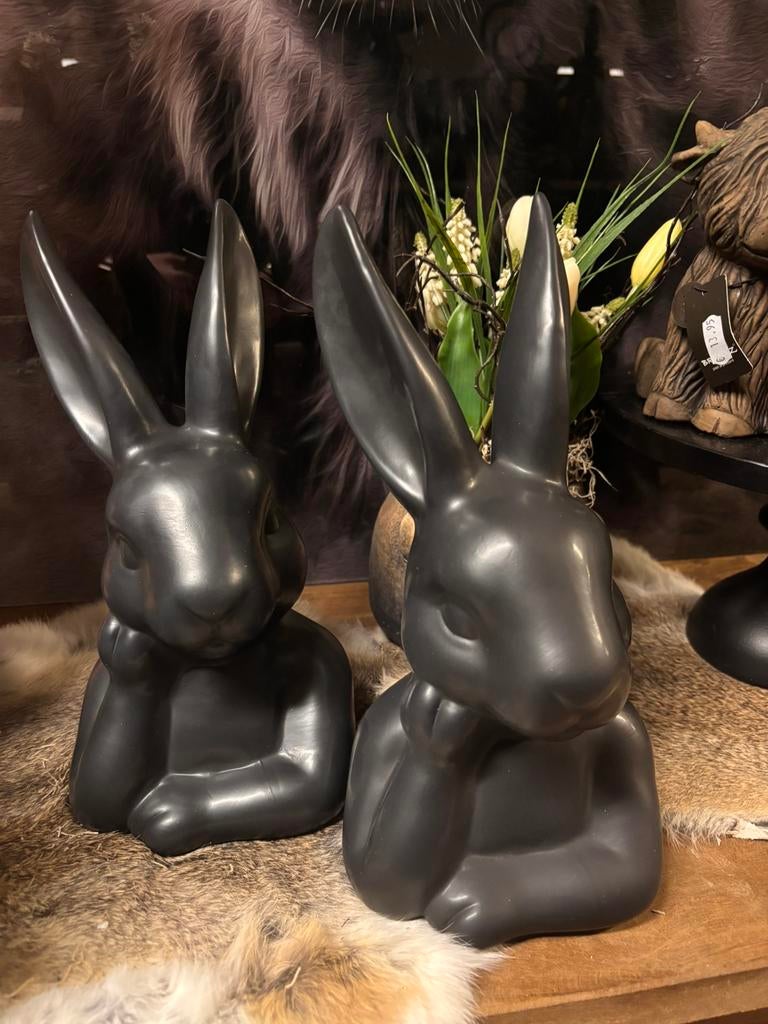 Haas, Huis en Inrichting, Woonaccessoires | Boeddhabeelden, Nieuw, Ophalen of Verzenden