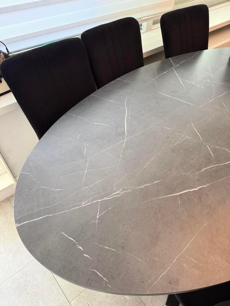 Ovale eettafel met 6 stoelen ikea, Ophalen, 200 cm of meer, 50 tot 100 cm, Zo goed als nieuw