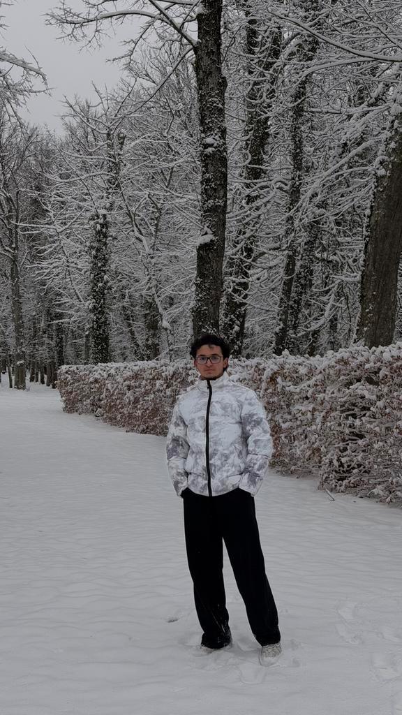 Looking for a room in 's-Hertogenbosch (Den Bosch), Huizen en Kamers, Op zoek naar een kamer