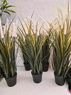 6 Nieuwe IKEA Fejka  kunstplanten met Witte Pluimen, Ophalen of Verzenden, Nieuw, Binnen