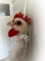 Wattenpopje kip pasen eieren paasei frans brocante, Ophalen of Verzenden