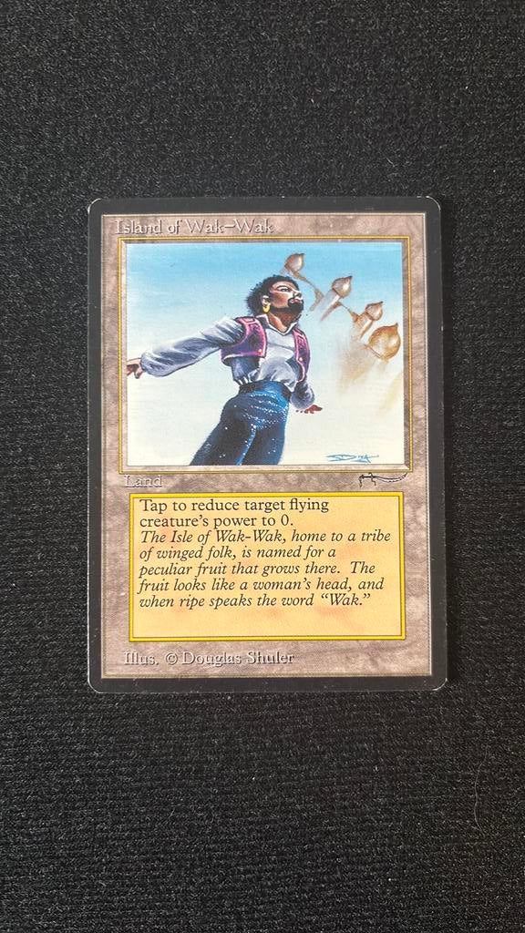 Island of wak wak -  arabian nights, Hobby en Vrije tijd, Verzamelkaartspellen | Magic the Gathering, Ophalen of Verzenden, Zo goed als nieuw