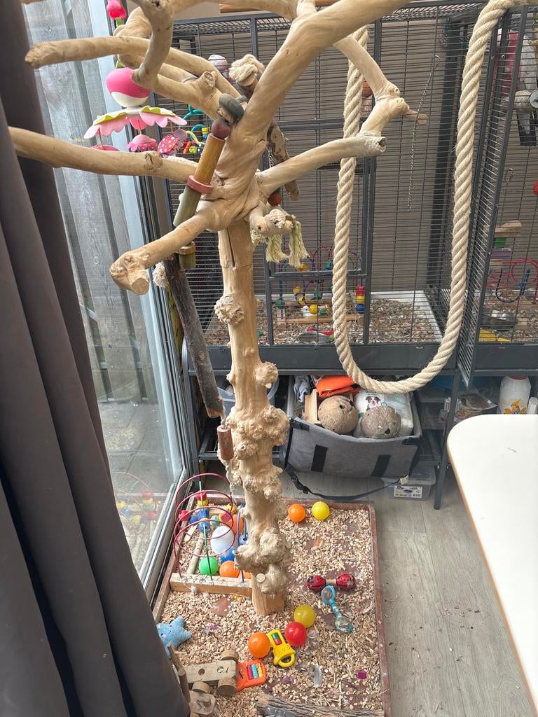 Javaboom, Dieren en Toebehoren, Vogels | Toebehoren, Ophalen of Verzenden