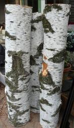 Gezocht: stammetjes berk en wilg t.b.v. lepelsnijden, Tuin en Terras, Haardhout, Minder dan 3 m³, Ophalen