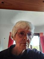 Bijles, huiswerkbegeleiding, taalles, Privéles, Bijles