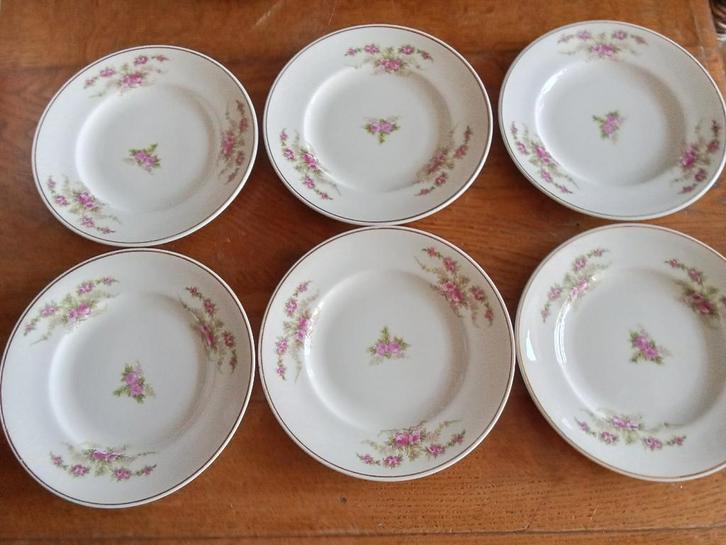 te koop 6 prachtige gebaksbordjes van petrus regout, Antiek en Kunst, Antiek | Servies los, Ophalen