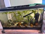 Aquarium, Ophalen of Verzenden, Gebruikt, Verlichting of Verwarming