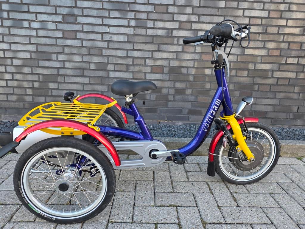 Elektrische Van Raam Mini Driewieler - Kinderfiets, Ophalen of Verzenden, Gebruikt, Van Raam