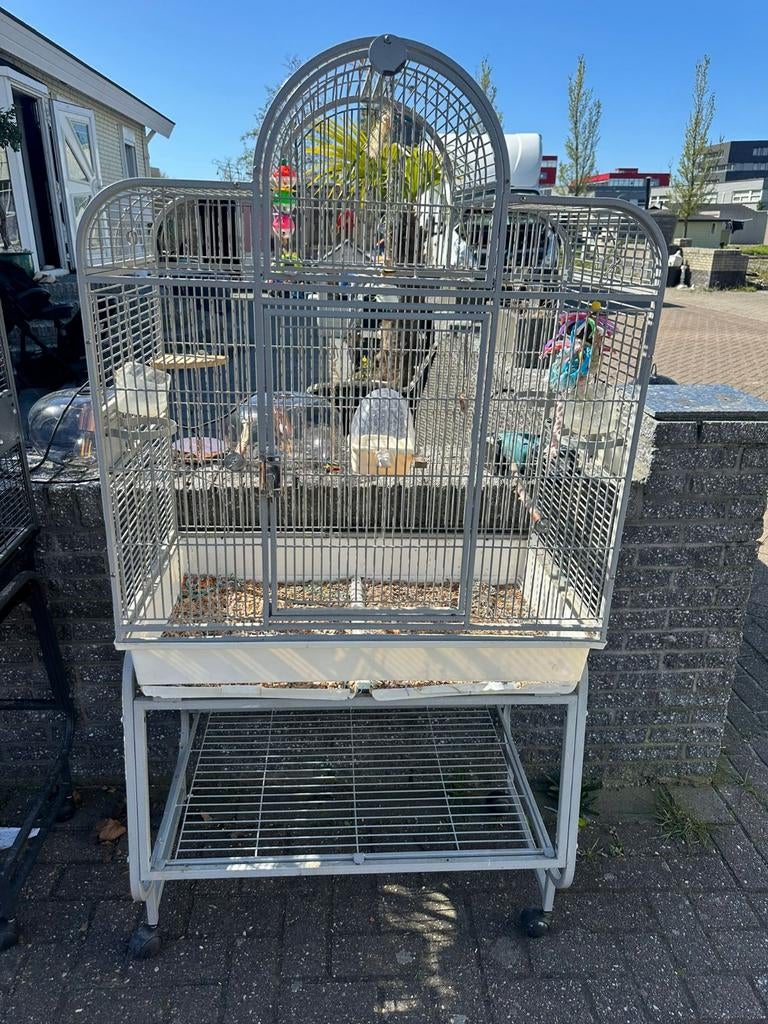 Vogelkooien, Dieren en Toebehoren, Vogels | Hokken en Kooien, Ophalen of Verzenden, Metaal, Vogelkooi