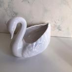 Mooie zwaan, Ophalen