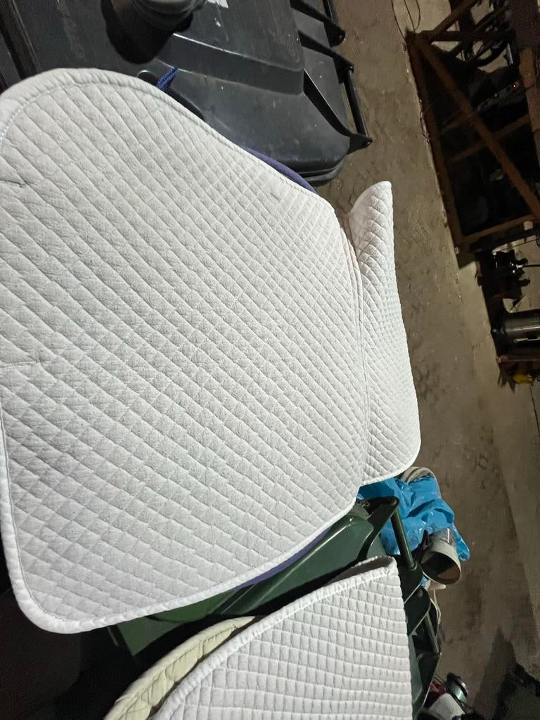 Ponyspullen maat pony en dekjes prijs in beschrijving, Dieren en Toebehoren, Ophalen of Verzenden