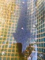 Te koop Steur, Steur