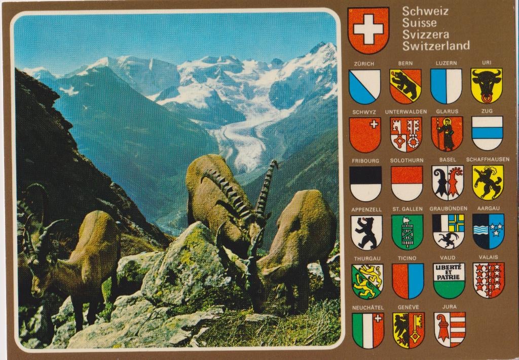 Zwitserland Steenbokken Albris Stadswapens Alpen, Verzamelen, Ansichtkaarten | Themakaarten, Verzenden, 1980 tot heden, Ongelopen