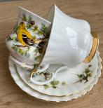 Royal Albert kop en schotel: WOODLAND SERIES en Val D'or, Ophalen of Verzenden