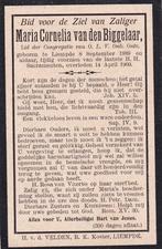 Biggelaar Maria 1889 Liempde 1909, Ophalen of Verzenden, Bidprentje