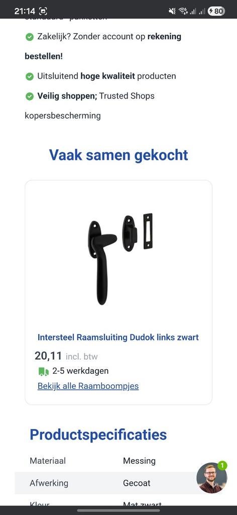 Intersteel Dudok Raamsluitingen (5x) & Raamuitzetter (1x), Doe-het-zelf en Verbouw, Hang- en Sluitwerk, Ophalen of Verzenden, Nieuw