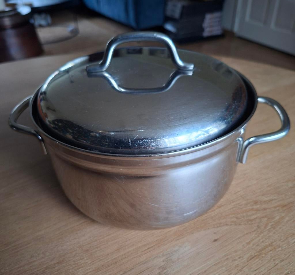 Roestvrijstalen pan, Ophalen of Verzenden