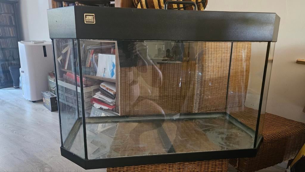 Terrarium, gebruikt, Dieren en Toebehoren, Reptielen en Amfibieën | Toebehoren, Ophalen