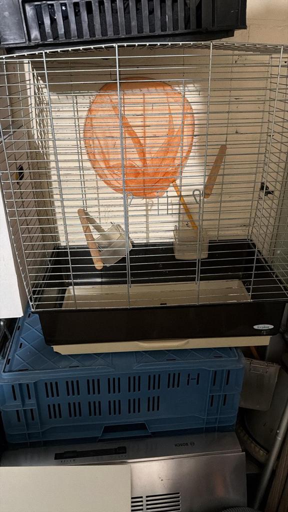 Grote kooi voor vogels, Ophalen of Verzenden, Gebruikt, Metaal, Vogelkooi