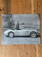Austin Healey 3000 USA brochure sheet, Ophalen of Verzenden, Zo goed als nieuw, Overige merken