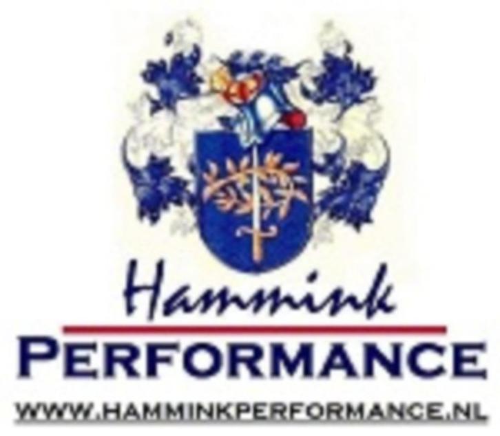 Hammink Performance