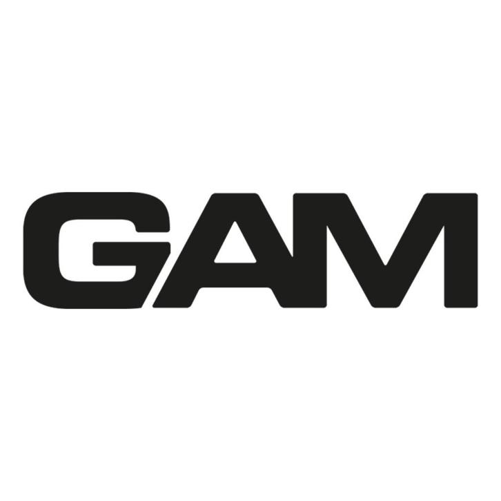 GAM cars