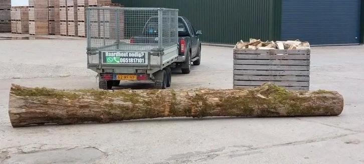 Haardhout Sparreboom