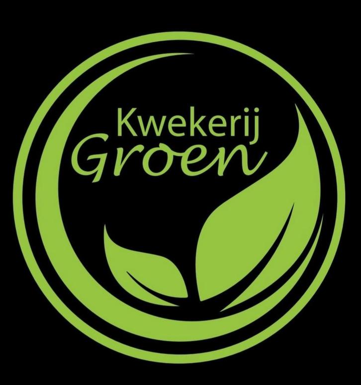 Kwekerij Groen