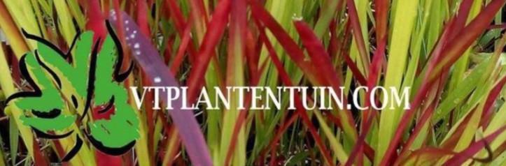 VTPLANTENTUIN.COM