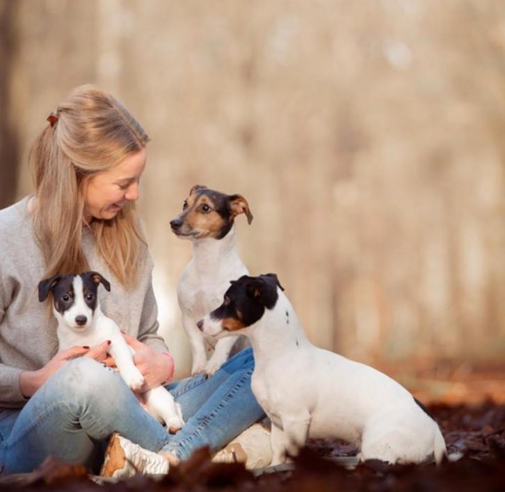 Doggy Days Oisterwijk