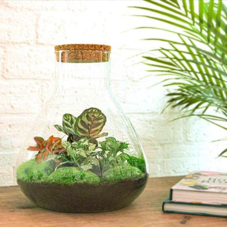 Druk en Deco