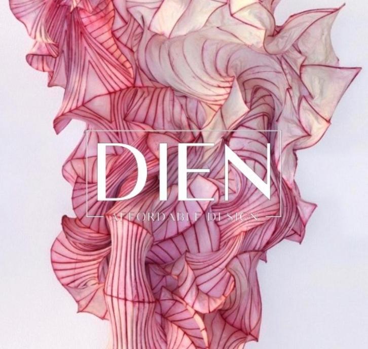 DIEN FURNITURE