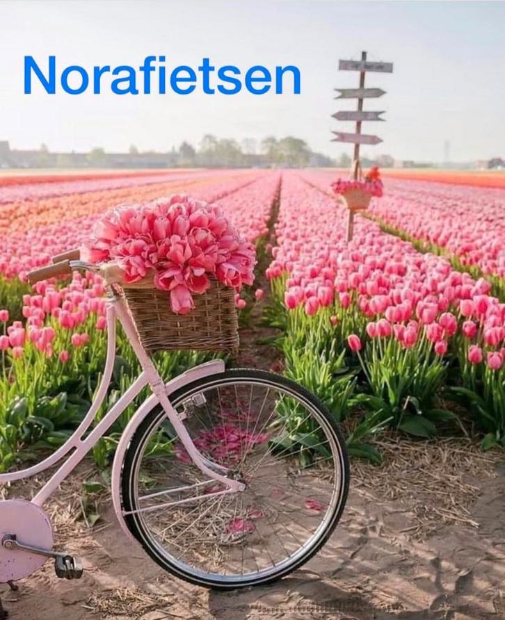 Norafietsen