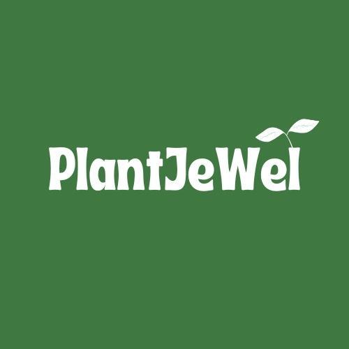 PlantJeWel