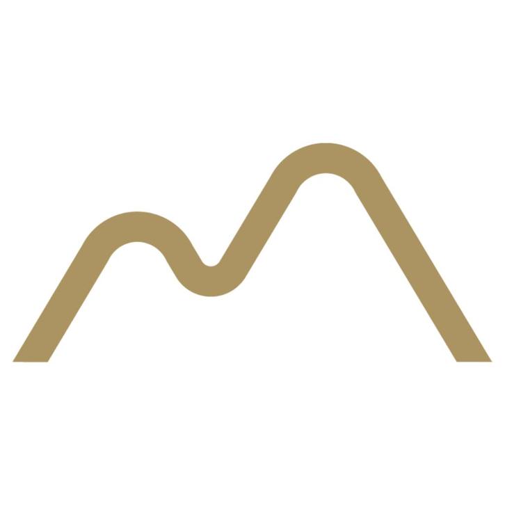 The Silver Mountain