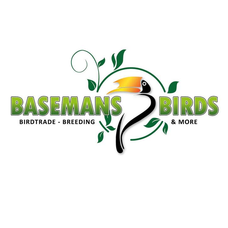 Basemans Birds