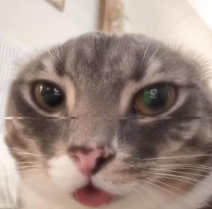 Daniel .z
