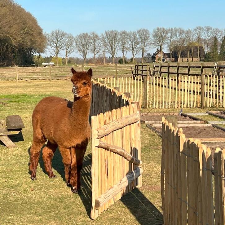 ecofences