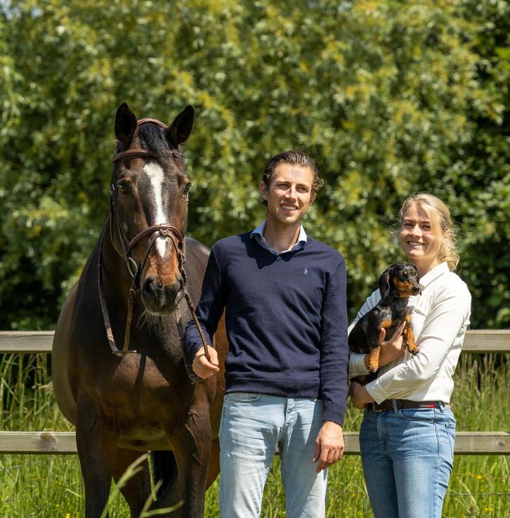 Steerenberg Horsetrading 