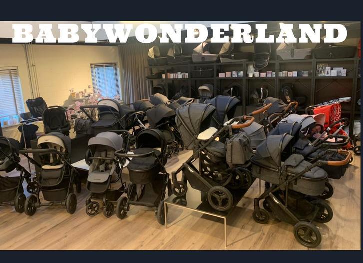 Babywonderland 