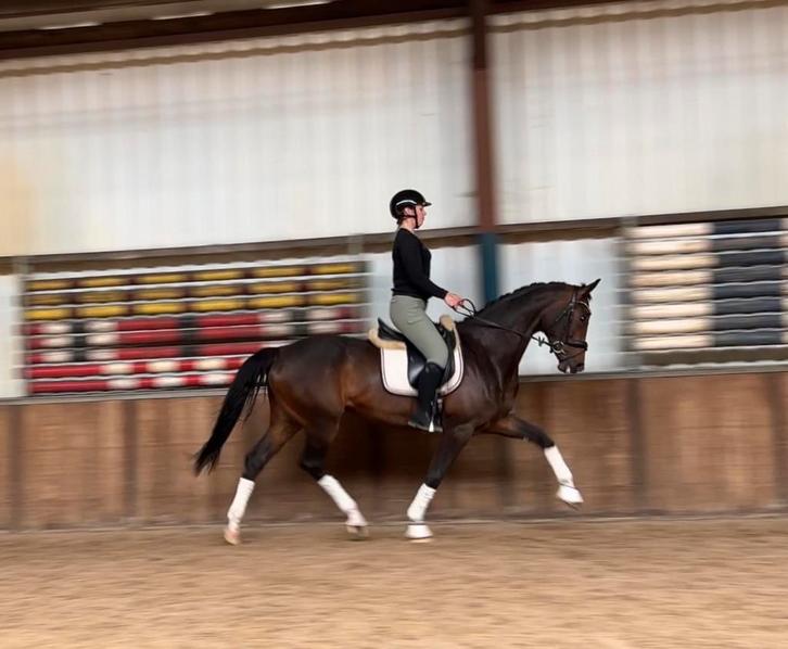 Lisa de Graaf Paardensport