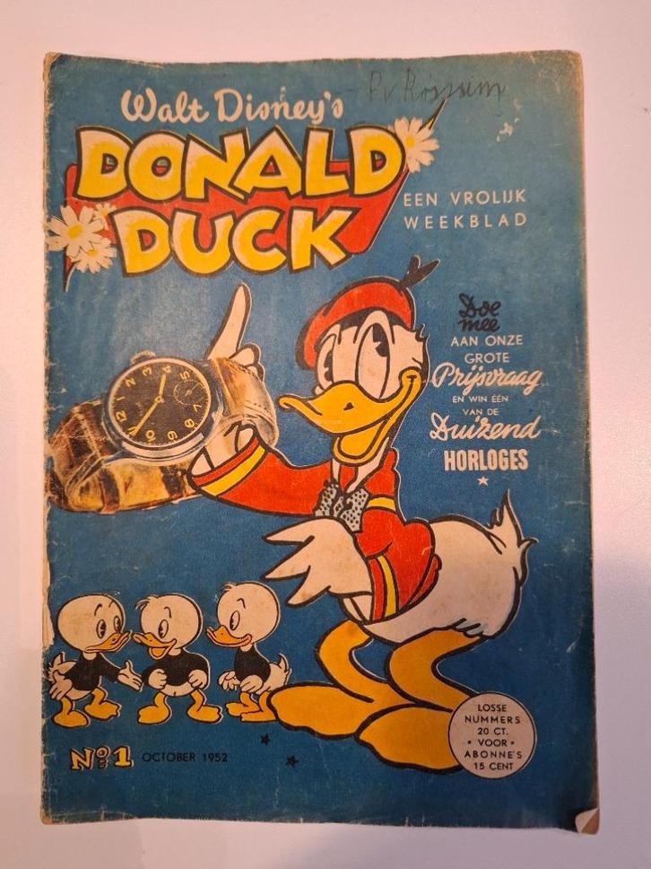 Duckatti 313