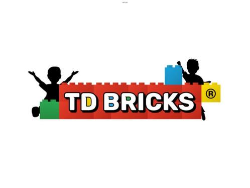 TD speelgoed bricks
