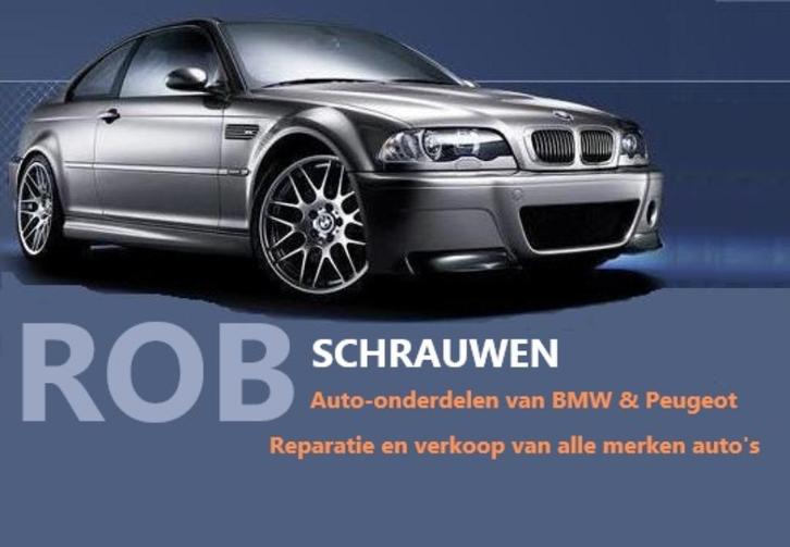 Rob Schrauwen Auto's VOF