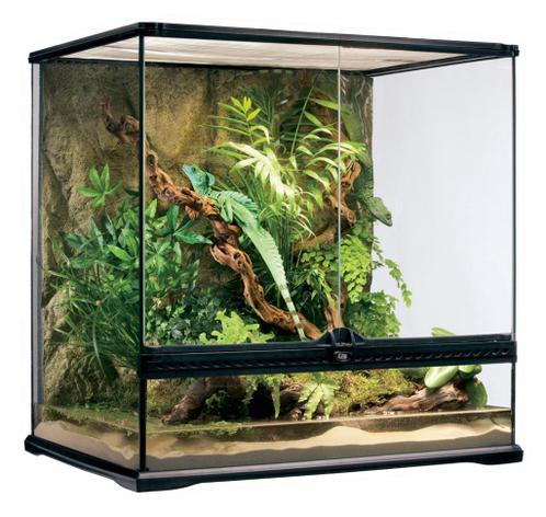 Bonder Exotics Bussum & Zwolle