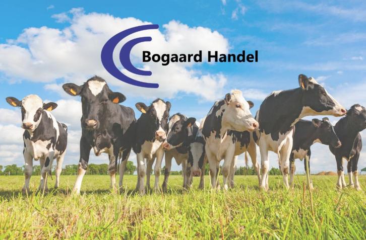 Bogaardhandel
