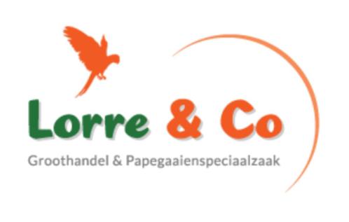Lorre & Co papegaaien specialist