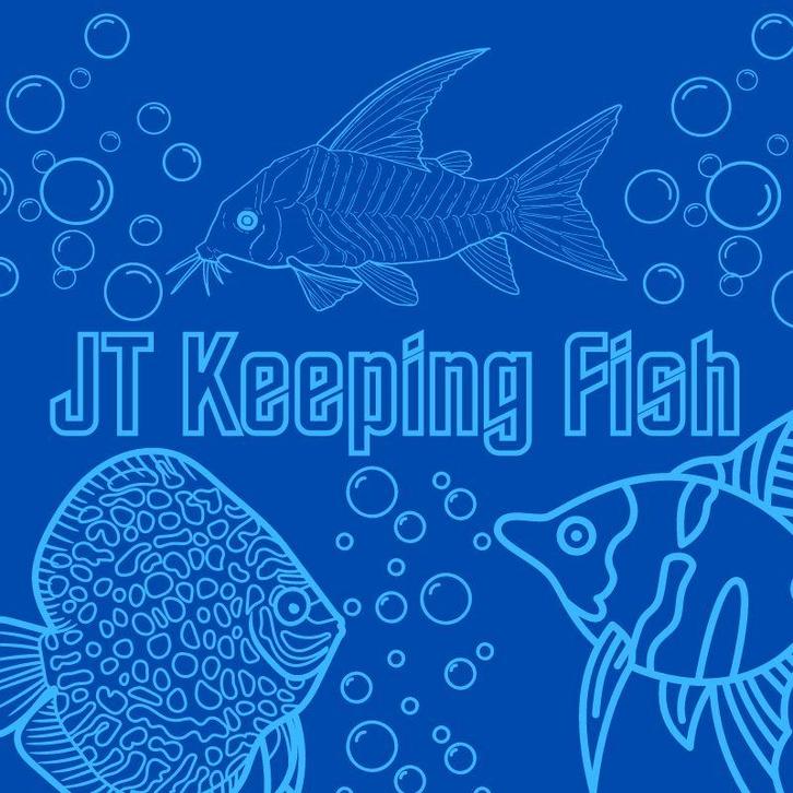 JT Keeping Fish