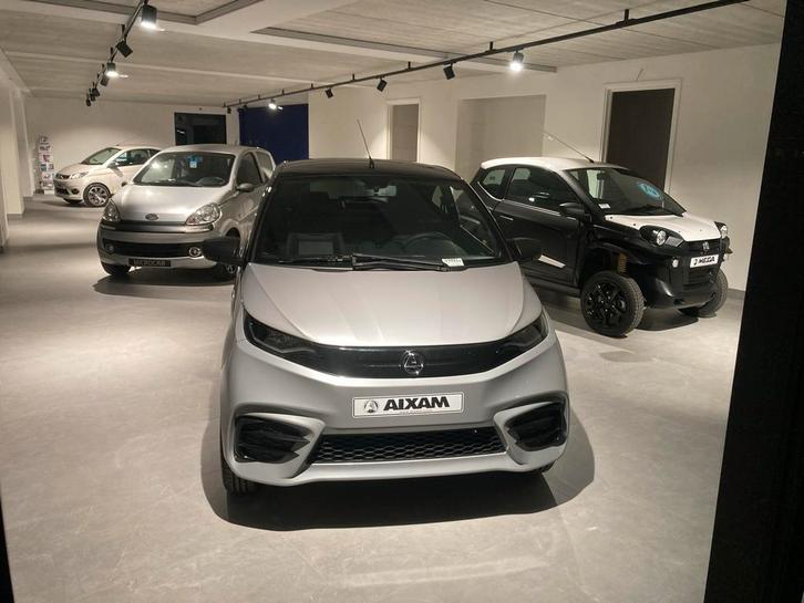 Nicolijn Minicars