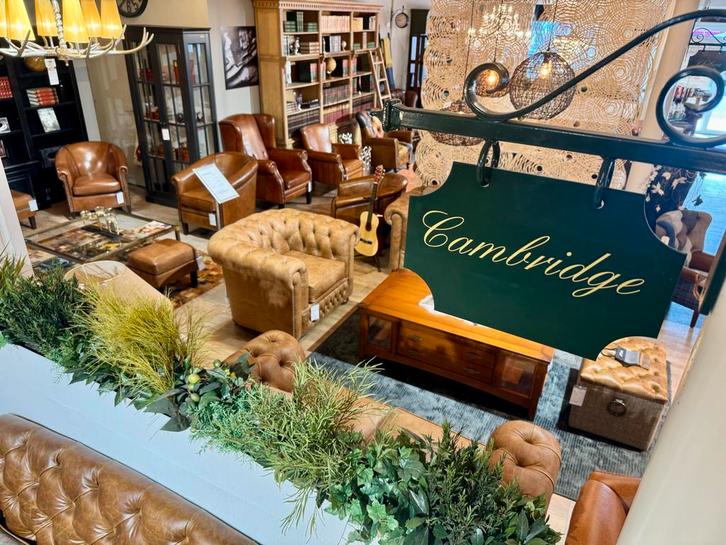 AMMERZODER CHESTERFIELD